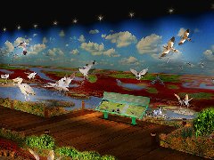 黄河口鸟类博物馆设计案例