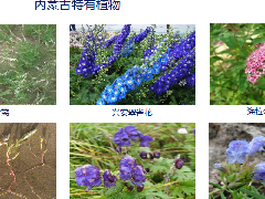 内蒙古科普展厅设计—案例续篇