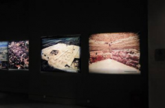 博物馆设计如何才安全