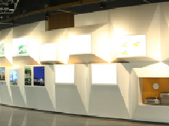 展厅设计的具体要求