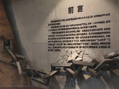 解析虚拟漫游在博物馆设计中的应用是怎样的?