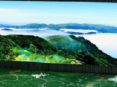 展馆设计中用线条表达柔软是最常见的手法